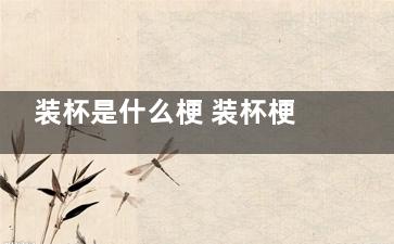 装杯是什么梗 装杯梗出自于哪里